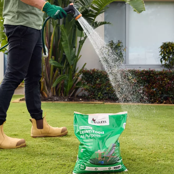 Baileys Brilliance Lawn Food All Purpose image 8