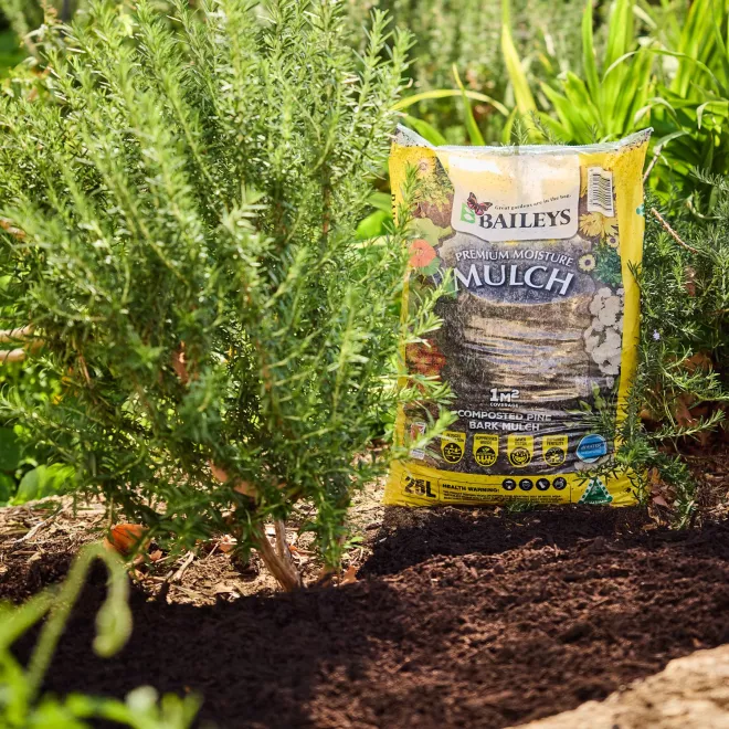 Baileys Moisture Mulch image 5