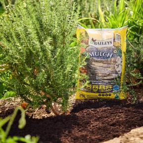 Baileys Moisture Mulch image 5