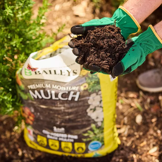 Baileys Moisture Mulch image 6