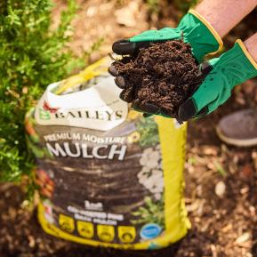 Baileys Moisture Mulch image 6
