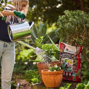 Baileys Premium Potting Mix image 7