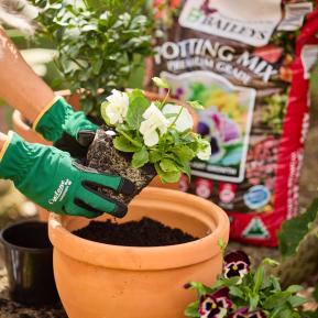 Baileys Premium Potting Mix image 5