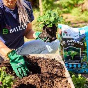 Baileys Soil Improver Plus image 5