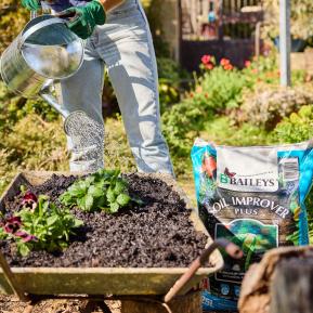 Baileys Soil Improver Plus image 7