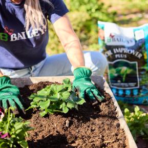 Baileys Soil Improver Plus image 6