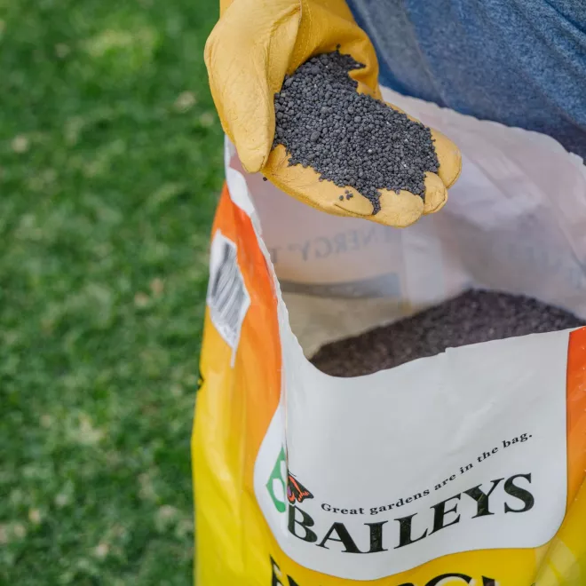 Baileys Energy Turf image 5