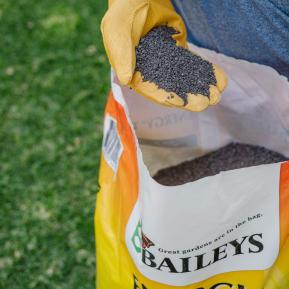 Baileys Energy Turf image 5