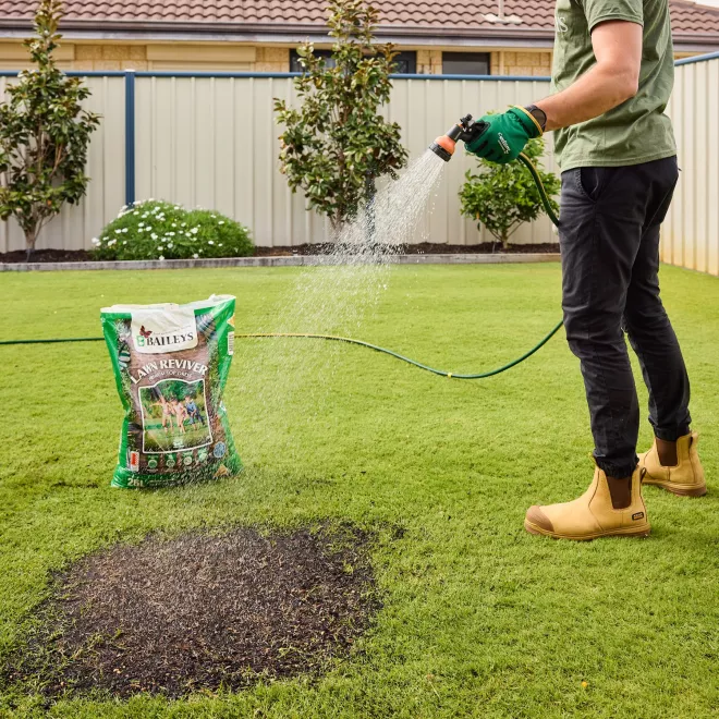 Baileys Lawn Reviver image 7