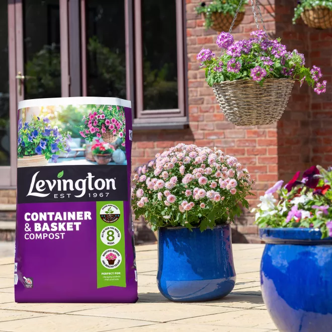 Levington® Peat Free Container & Basket Compost image 2