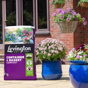 Levington® Peat Free Container & Basket Compost image 2