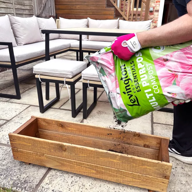 Levington® Essentials Peat Free Multi Purpose Compost image 2