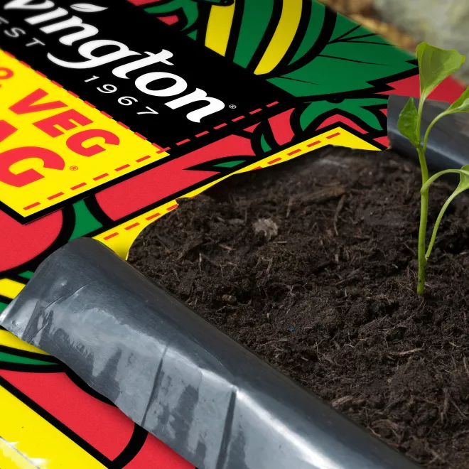 Levington® Original Fruit & Veg Gro-Bag® image 2