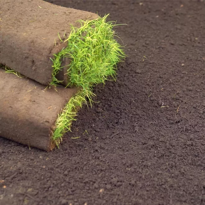 Levington® Peat Free Top Soil image 2