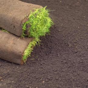 Levington® Peat Free Top Soil image 2