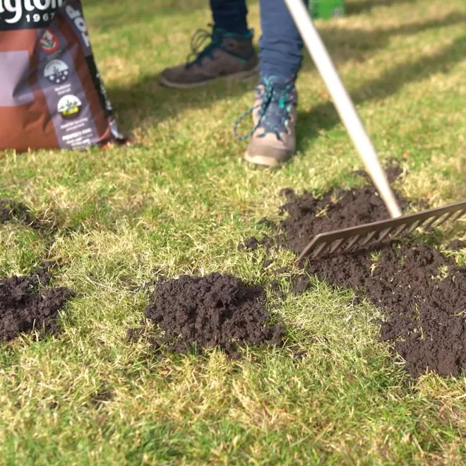 Levington® Peat Free Top Soil image 3