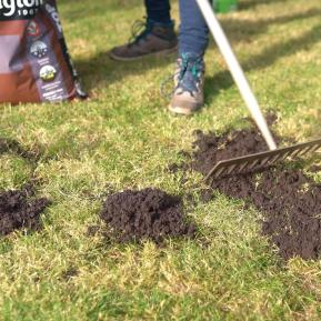 Levington® Peat Free Top Soil image 3