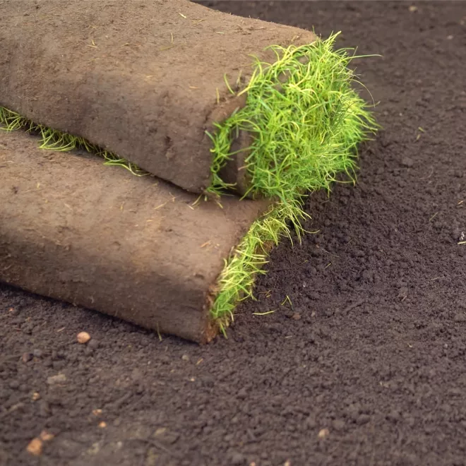 Levington® Peat Free Top Soil image 2