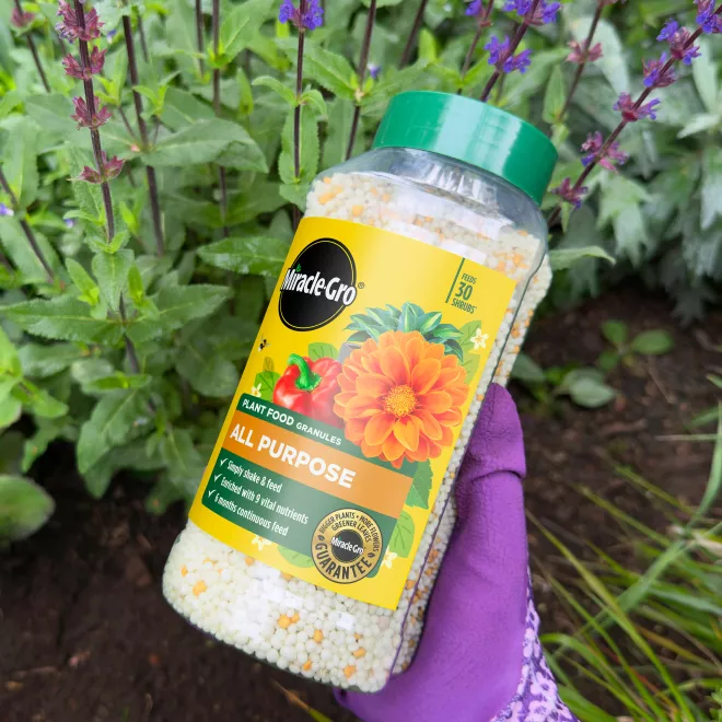 Miracle-Gro® Plant Food Granules - All Purpose image 2