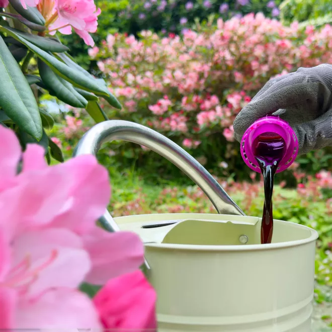 Miracle-Gro® Liquid Plant Food - Azalea, Camellia, Rhododendron image 4