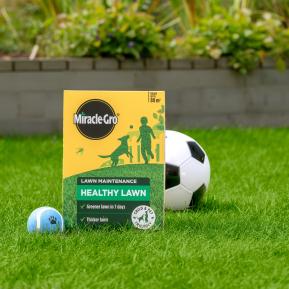 Miracle-Gro® Healthy Lawn image 2