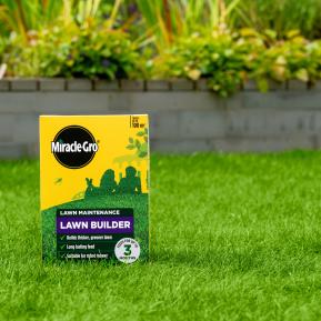 Miracle-Gro® Lawn Builder image 2