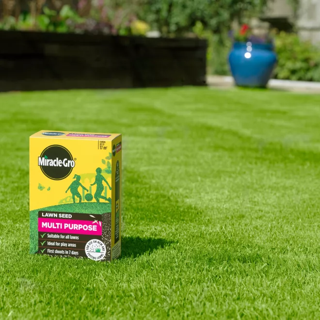 Miracle-Gro® Multi Purpose Lawn Seed image 3