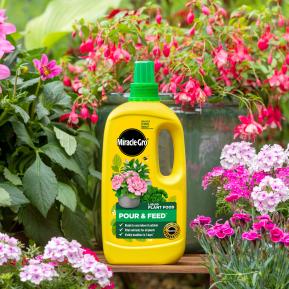 Miracle-Gro® Liquid Plant Food - Pour & Feed™ image 3