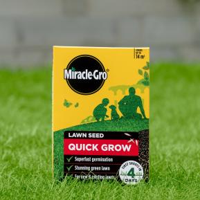 Miracle-Gro® Quick Grow Lawn Seed image 2