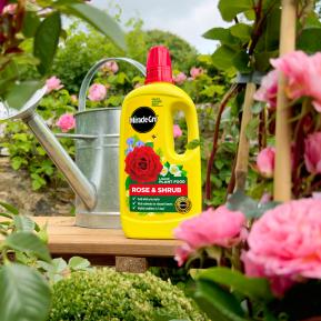 Miracle-Gro® Liquid Plant Food - Rose & Shrub image 2