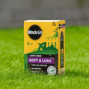 Miracle-Gro® Soft & Lush Lawn Seed image 2