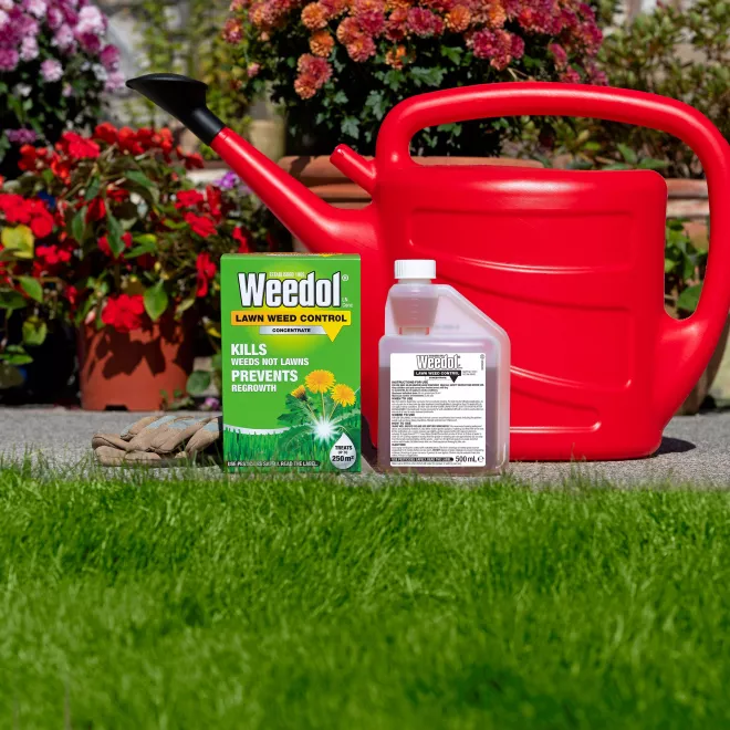Weedol® LN Lawn Weed Control (Concentrate) image 3