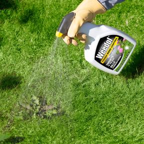 Weedol® Tough Weed Control (Ready to Use) image 2
