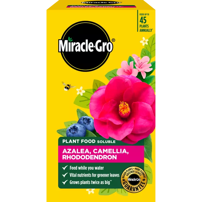 Miracle-Gro® Plant Food Soluble - Azalea, Camellia, Rhododendron main image
