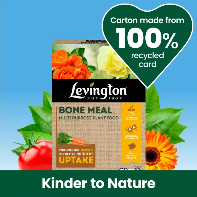 Levington® Bone Meal Multi Purpose Plant Food image 3