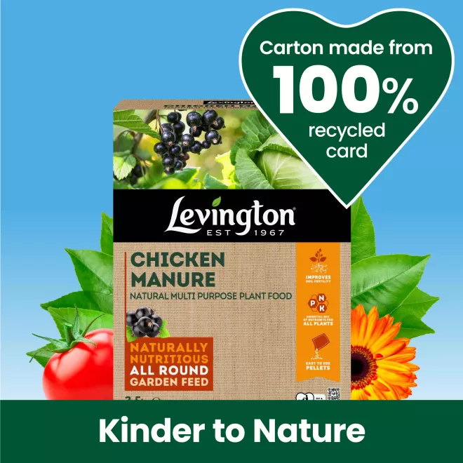 Levington® Chicken Manure Multi Purpose Plant Food image 2