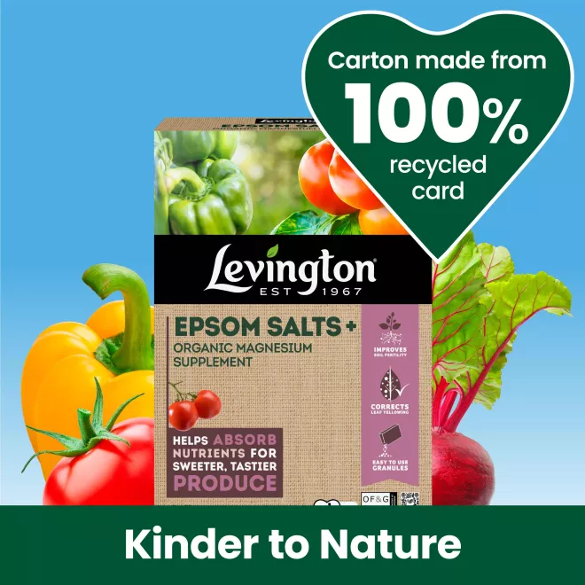 Levington® Epsom Salts+ image 2