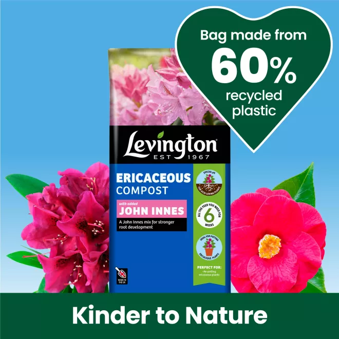 Levington® Peat Free Ericaceous Compost with added John Innes image 5