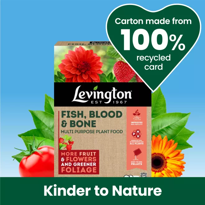 Levington® Fish, Blood & Bone Multi Purpose Plant Food image 2