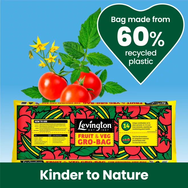Levington® Original Fruit & Veg Gro-Bag® image 3