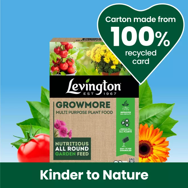 Levington® Growmore Multi Purpose Plant Food image 2