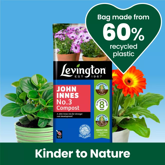 Levington® Peat Free John Innes No.3 image 6