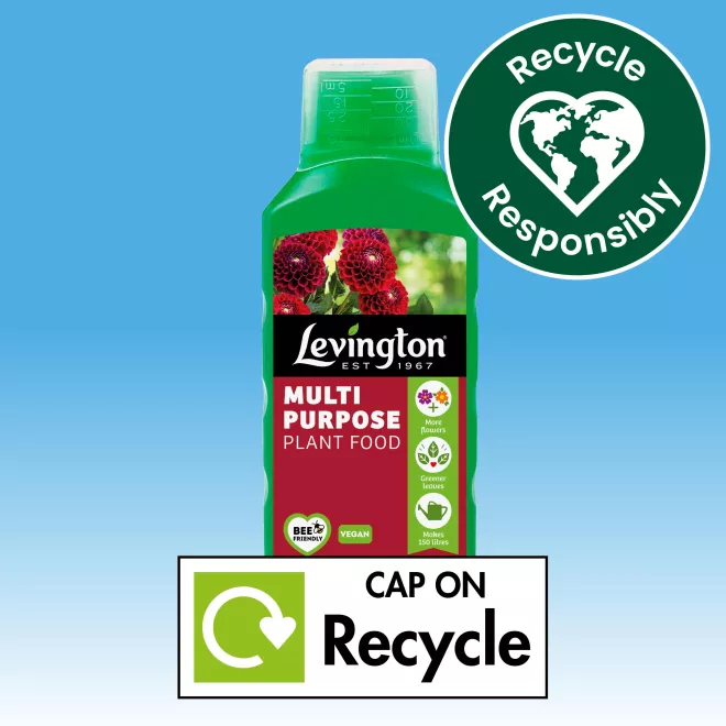 Levington® Multi Purpose Plant Food image 3