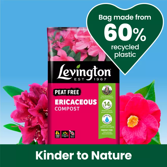 Levington® Peat Free Ericaceous Compost image 2