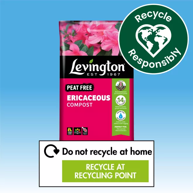 Levington® Peat Free Ericaceous Compost image 3