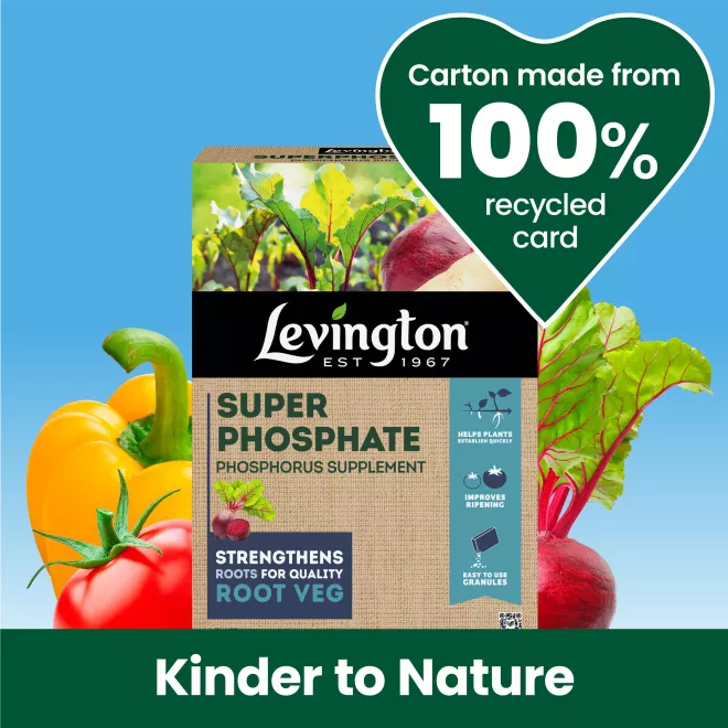 Levington® Superphosphate image 2
