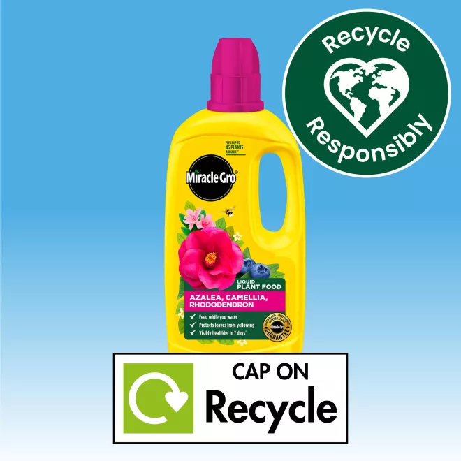 Miracle-Gro® Liquid Plant Food - Azalea, Camellia, Rhododendron image 6