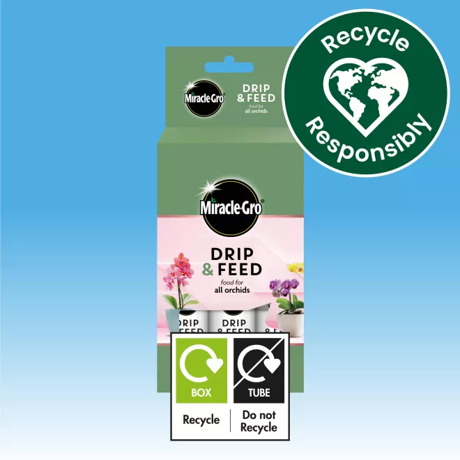 Miracle-Gro® Drip & Feed Orchid image 5