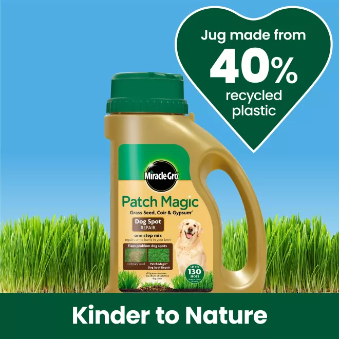 Miracle-Gro® Patch Magic® Dog Spot Repair image 5