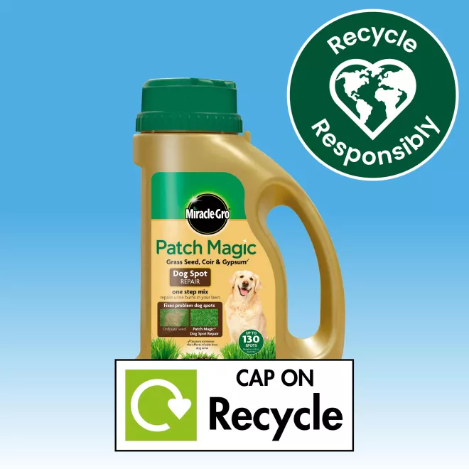 Miracle-Gro® Patch Magic® Dog Spot Repair image 6